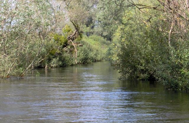 Prin Delta Dunarii - catre Erenciuc